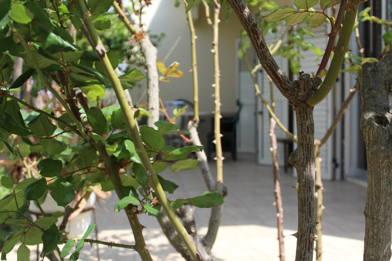 Costas Hostel Action Tseri 외부 사진